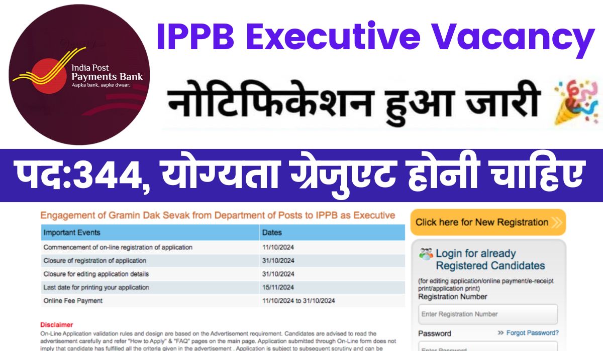 IPPB Executive Vacancy 2024